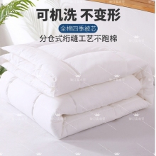 被子芯床上用品四季被通用